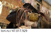 Woman shows off beautiful dreadlocks in colorful hairstyles at city's street festival. Стоковое фото, фотограф David Kashakhi / Фотобанк Лори