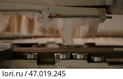 Close up of moving mechanism of a wood processing machine. Стоковое фото, фотограф David Kashakhi / Фотобанк Лори