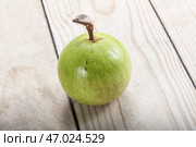 Tropical sweet fruit Sapote Star apple. Стоковое фото, фотограф Андрей Старостин / Фотобанк Лори