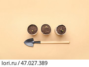 Торфяные горшочки с почвой и зеленой рассадой на цветном фоне. Стоковое фото, фотограф Pixel_shot / Фотобанк Лори