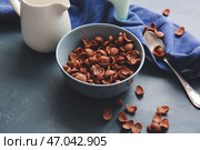 Чаша с шоколадными кукурузными хлопьями и кувшин для молока на темном фоне. Стоковое фото, фотограф Pixel_shot / Фотобанк Лори