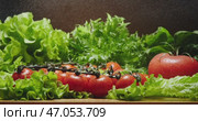 Fresh Vegetables Enjoy Vibrant Lettuce and Juicy, Ripe Tomatoes to Create a Delicious Meal. Стоковое видео, видеограф Владимир Ковальчук / Фотобанк Лори
