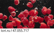 Luscious Fresh Raspberries Splashing in Clear Water Against a Deep Black Background. Стоковое видео, видеограф Владимир Ковальчук / Фотобанк Лори