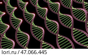 Iridescent colored sinuous genetic codes in animation. Стоковая иллюстрация, иллюстратор David Kashakhi / Фотобанк Лори