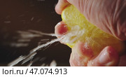 An Extreme CloseUp and Detailed View of a Fresh Lemon Slice Being Held in a Hand. Стоковое видео, видеограф Владимир Ковальчук / Фотобанк Лори