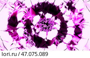 Abstract pattern of circles with the effect of displacement. Стоковая иллюстрация, иллюстратор David Kashakhi / Фотобанк Лори