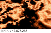Abstract organism cells under microscope. Стоковая иллюстрация, иллюстратор David Kashakhi / Фотобанк Лори