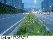 Grass median strip on the road at night in modern city. Стоковое AI-изображение, AI-художник Евгений Харитонов / Фотобанк Лори
