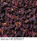 Dried Hibiscus Flowers, perfect for making delicious Herbal Teas and infusions that refresh. Стоковое фото, фотограф David Kashakhi / Фотобанк Лори