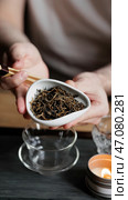 A Hand Grasping Dried Tea Leaves Against the Backdrop of a Contemporary Tea Arrangement. Стоковое фото, фотограф David Kashakhi / Фотобанк Лори