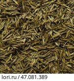 Dried Cumin Seeds are popular for Culinary Use, Spice Blends, and various dishes preparation. Стоковое фото, фотограф David Kashakhi / Фотобанк Лори