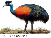 An exotic flightless bird resembling a cassowary or a fantastical variation thereof. Its head and neck are covered in bright blue-green scaly patterns, and a black crest is visible on its head. The main part of the body is covered in long feathers, smoothly changing from bright red and orange to dark blue and black. The beak is long, sharp and slightly curved. The bird stands on strong legs with sharp claws, characteristic of cassowaries. The background is light, neutral, with some vegetation at the bottom, which emphasizes the expressive appearance of the bird. Стоковое AI-изображение, AI-художник Анна Кривицкая / Фотобанк Лори