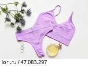 Композиция с стильным женским нижним бельем, флаконом духов и веткой растения на светлом фоне. Стоковое фото, фотограф Pixel_shot / Фотобанк Лори