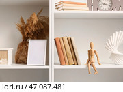 Полки с книгами, пампасной травой и стильным декором, крупным планом. Стоковое фото, фотограф Pixel_shot / Фотобанк Лори