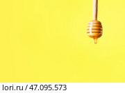 Ковш с вкусным медом на цветном фоне. Стоковое фото, фотограф Pixel_shot / Фотобанк Лори