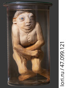 April 1, 2023. Belarus, Minsk. Exhibition of anatomical exhibits. Human infant with pathological development of microcephaly. Human dwarf. Achondroplasia. Редакционное фото, фотограф Лазаренко Светлана / Фотобанк Лори