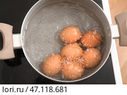 Кастрюля с кипящими яйцами на плите на кухне, крупным планом. Стоковое фото, фотограф Pixel_shot / Фотобанк Лори