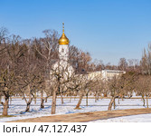 Храм-часовня святого Василия великого. Редакционное фото, фотограф Константин Яковлев / Фотобанк Лори