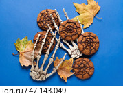 Хеллоуинское паутинное печенье со скелетными руками и опавшими листьями на синем фоне. Стоковое фото, фотограф Pixel_shot / Фотобанк Лори