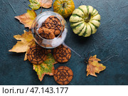 Стеклянная чаша с паутинным печеньем на Хэллоуин, тыквами и опавшими листьями на темном фоне. Стоковое фото, фотограф Pixel_shot / Фотобанк Лори