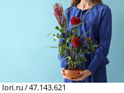 Женщина с красивой икебаной на синем фоне. Стоковое фото, фотограф Pixel_shot / Фотобанк Лори