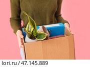 Уволенная молодая женщина держит коробку с личными вещами на розовом фоне, крупным планом. Стоковое фото, фотограф Pixel_shot / Фотобанк Лори