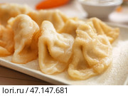Вкусная японская гёза на тарелке, крупным планом. Стоковое фото, фотограф Pixel_shot / Фотобанк Лори