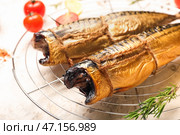 Охлаждающая стойка с вкусной копченой скумбрией на светлом фоне. Стоковое фото, фотограф Pixel_shot / Фотобанк Лори