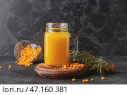 Банка каменщика полезного облепихового чая на темном фоне. Стоковое фото, фотограф Pixel_shot / Фотобанк Лори