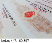 Свидетельство о праве наследства по закону (с сокращенным номером, без идентификации) Стоковое фото, фотограф Ольга Дерябина / Фотобанк Лори