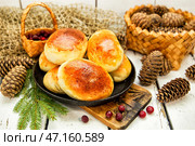 Румяные домашние пирожки с начинкой(капустой, яблоками) Стоковое фото, фотограф Наталья Осипова / Фотобанк Лори