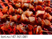 Шашлычки с вкусным куриным шашлыком на гриле. Стоковое фото, фотограф Pixel_shot / Фотобанк Лори