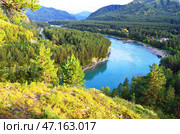Горный Алтай. Бирюзовая Катунь. Село Аскат. Вид с горы Менжелик (2018 год) Стоковое фото, фотограф Staryh Luiba / Фотобанк Лори