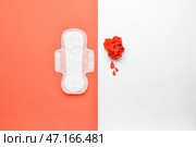 Бумажные капли крови, цветок и менструальная прокладка на цветном фоне. Стоковое фото, фотограф Pixel_shot / Фотобанк Лори