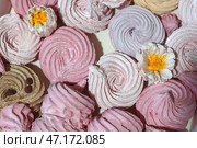 Домашний зефир разного цвета и вкуса со съедобными цветами. Стоковое фото, фотограф Евгения Золкина / Фотобанк Лори