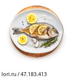 Тарелка с вкусной жареной рыбой дорадо на белом фоне. Стоковое фото, фотограф Pixel_shot / Фотобанк Лори