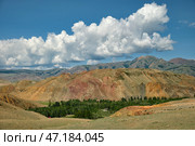 Rocky semi-desert landscape of Kosh-Agach Valley in Altai. Стоковое фото, фотограф Сергей Пристяжнюк (Serg Zastavkin) / Фотобанк Лори