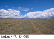 Field road across the intermountain plain in Yustyd River valley in Altai. Стоковое фото, фотограф Сергей Пристяжнюк (Serg Zastavkin) / Фотобанк Лори