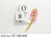 Кубический календарь с датой 8 МАРТА и цветком гиацинта на светлом деревянном фоне. Стоковое фото, фотограф Pixel_shot / Фотобанк Лори