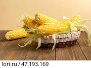 Корзина из ивового прута с свежими початками кукурузы на деревянном столе. Стоковое фото, фотограф Pixel_shot / Фотобанк Лори