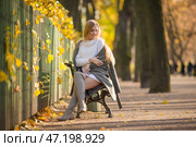Портрет симпатичной молодой женщины со светло-каштановыми волосами. Привлекательная женщина сидит на скамейке в осеннем парке. Красивая желтая листва на кустах и ​​деревьях. Хорошее настроение. Осенний сезон. Стоковое фото, фотограф Андрей Степанов / Фотобанк Лори