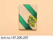 Подарочная коробка, перевязанная зеленой лентой и хризантемами на цветном фоне. Стоковое фото, фотограф Pixel_shot / Фотобанк Лори