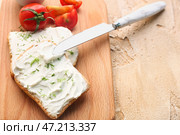 Деревянная доска вкусных сухариков со сливочным сыром и помидорами на цветном фоне, крупным планом. Стоковое фото, фотограф Pixel_shot / Фотобанк Лори