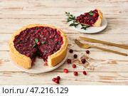 Тарелки с вкусным брусничным пирогом на светлом деревянном фоне. Стоковое фото, фотограф Pixel_shot / Фотобанк Лори