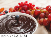 Окунуть вкусную чернику в миску с шоколадным фондю на столе, крупным планом. Стоковое фото, фотограф Pixel_shot / Фотобанк Лори