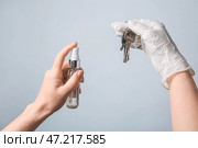 Женщина дезинфицирует ключи от дома на сером фоне. Стоковое фото, фотограф Pixel_shot / Фотобанк Лори
