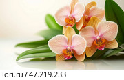 Exotic orchids display vibrant colors and delicate features against a simple white backdrop. Нежные экзотические орхидеи демонстрируют свои яркие цвета и сложную текстуру на белой поверхности. Зеленые листья дополняют цветы, придавая композиции естественную элегантность. Стоковое AI-изображение, AI-художник Katsiaryna Repich / Фотобанк Лори