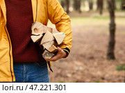 Красивый дровосек с бревнами в лесу. Стоковое фото, фотограф Pixel_shot / Фотобанк Лори