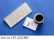 Компьютерная клавиатура с чашкой кофе и блокнотом с текстом ОСТАВАЙСЯ ДОМА на цветном фоне. Стоковое фото, фотограф Pixel_shot / Фотобанк Лори