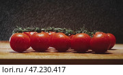 Fresh and delicious looking tomatoes arranged on a rustic wooden table, adorned with raindrops. Стоковое видео, видеограф Владимир Ковальчук / Фотобанк Лори